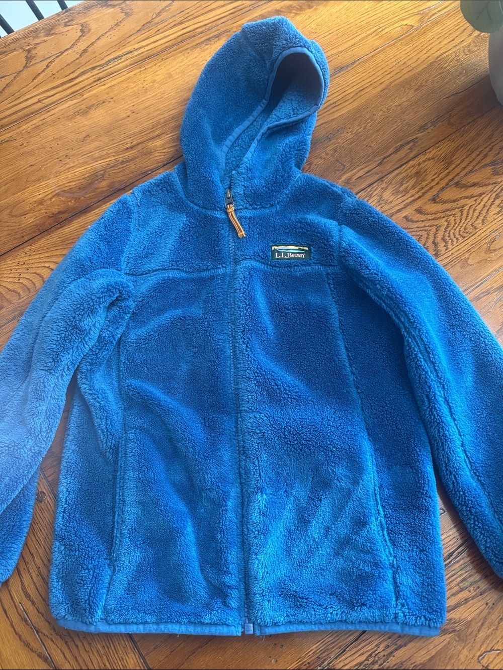 L.L. Bean Kids' Bright Blue hi-pile Hooded fleece Jacket